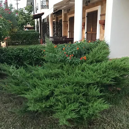 Elena Σπίτι διακοπών Νικήτη